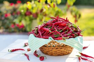 Best Tips to Make Pepper Plants Hotter 1