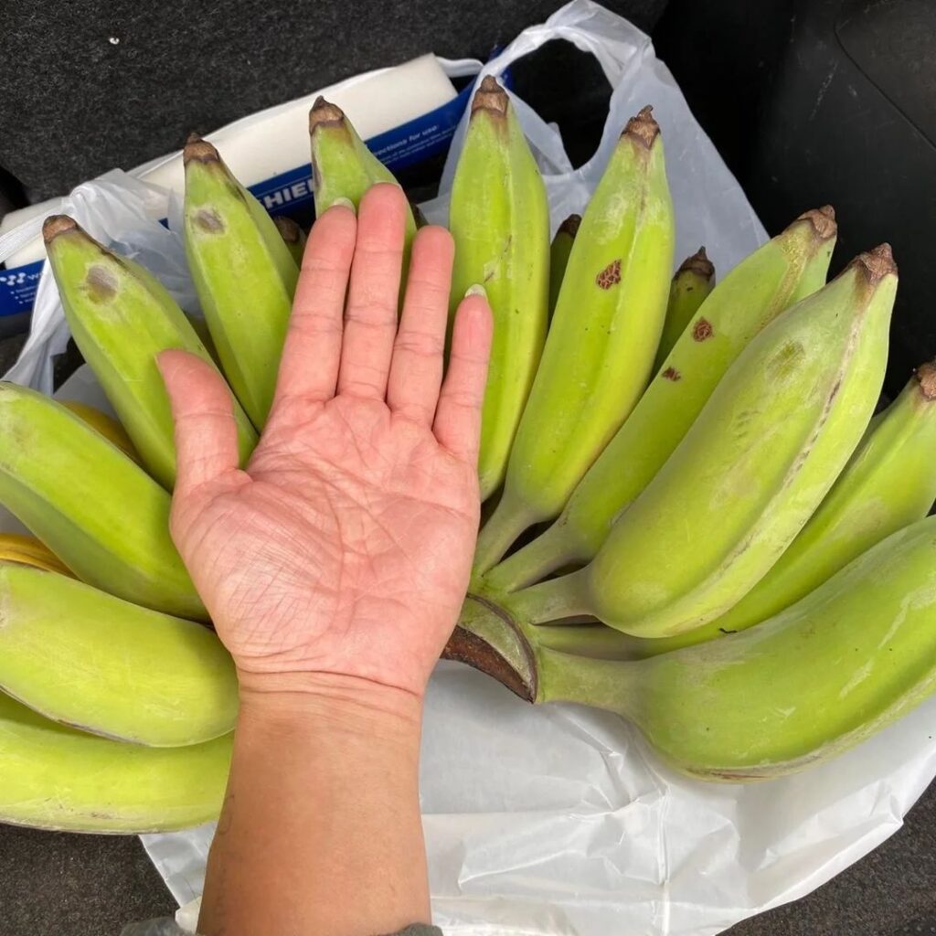 Banana Varieties 8