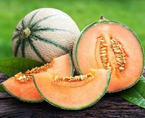 Muskmelon vs. Cantaloupe: Differences and Similarities 2