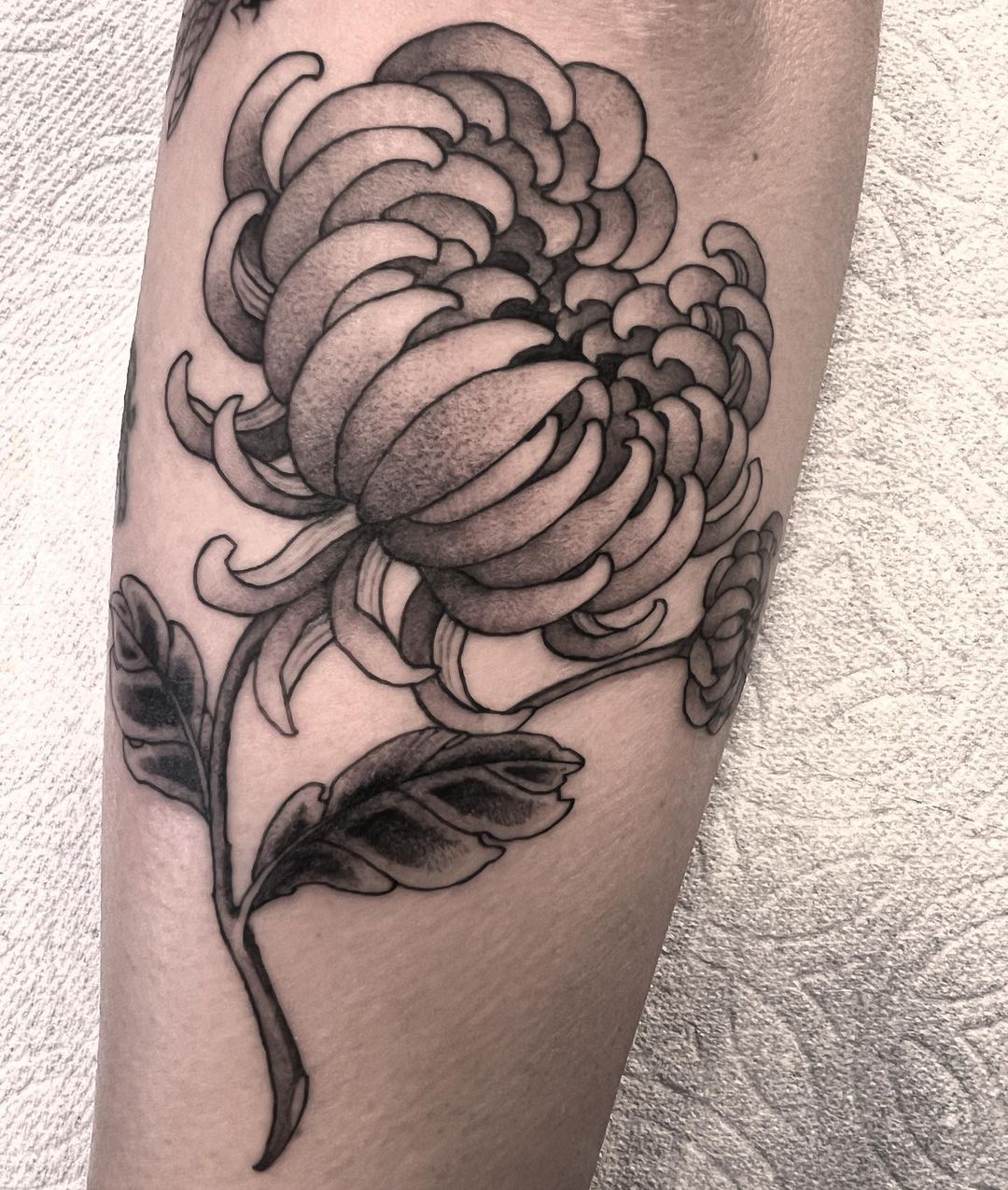 Chrysanthemum Flower Tattoo Meaning and Importance