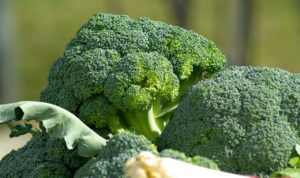 Is Broccoli Man Made or a Product of Nature? Find Out 3