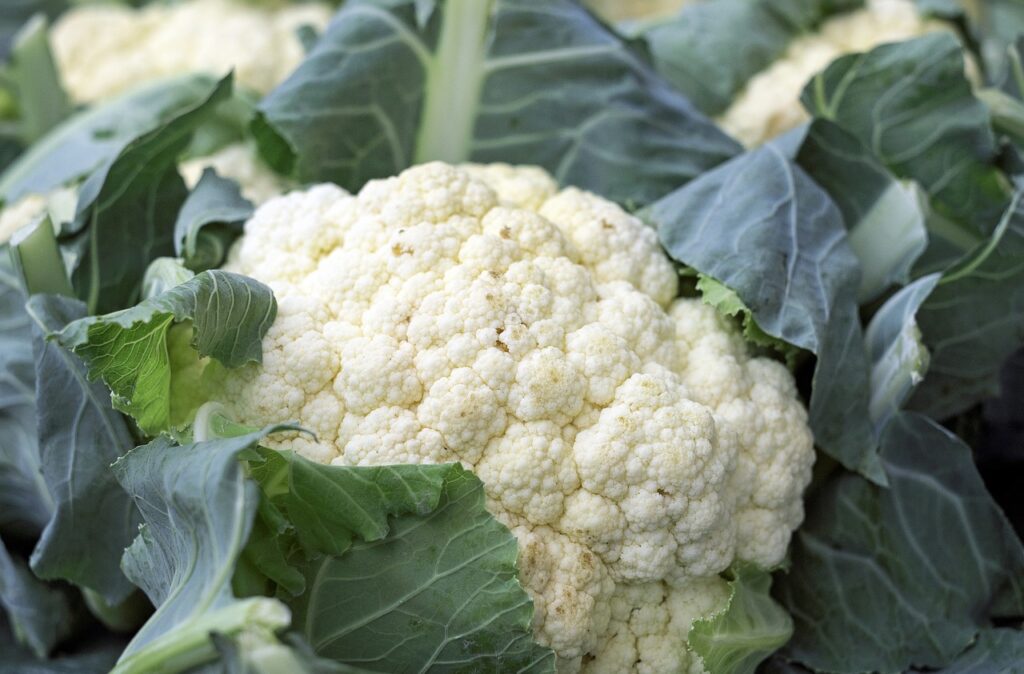 Is Cauliflower Man Made or a Product of Nature? 4