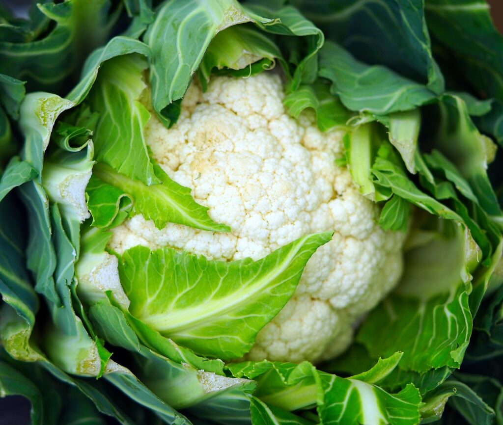 Is Cauliflower Man Made or a Product of Nature? 1