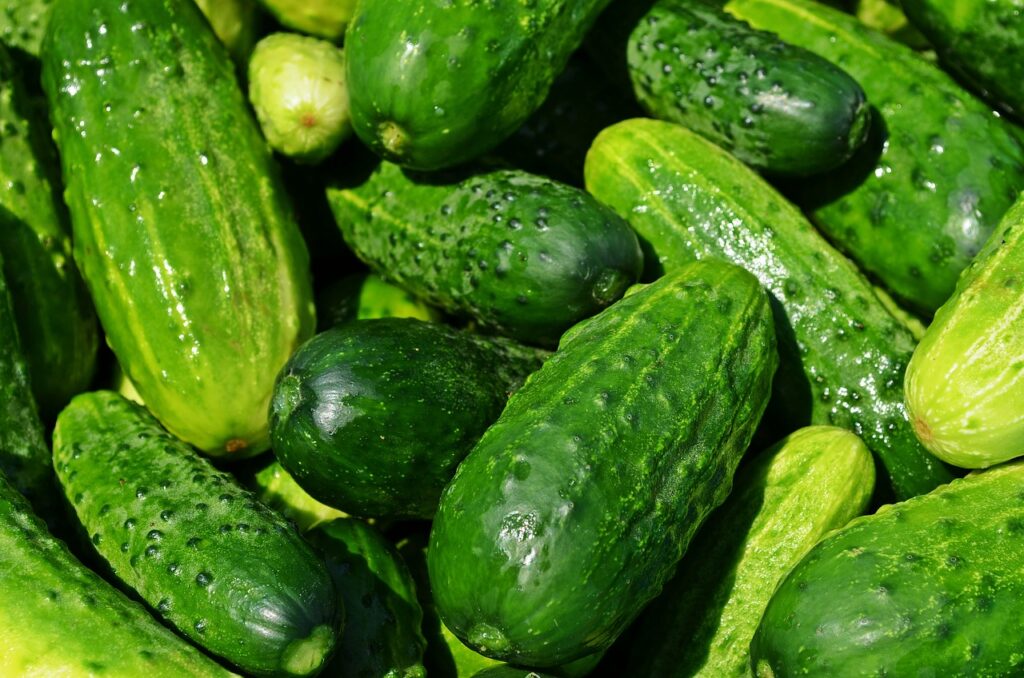 Zucchini vs. Cucumber: Similarities and Difference 2