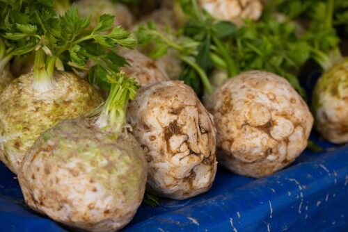 Celery Root vs. Jicama: Differences and Similarities 1