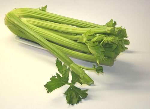 Fennel vs. Celery: Differences and Similarities 2