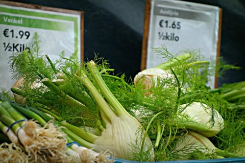 Fennel vs. Celery: Differences and Similarities 3