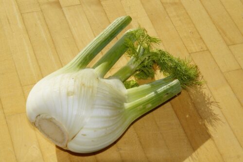 Fennel vs. Celery: Differences and Similarities 1