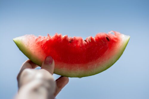 Can Ducks Eat Watermelon? Find Out 1