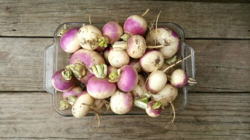 root vegetable in a glass dish on a table 3