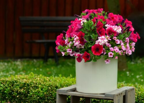 Container Garden Ideas that Attract Pollinators 1