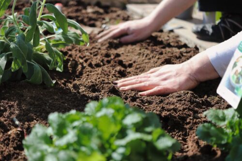 Signs that Show Your Soil is Bad 1