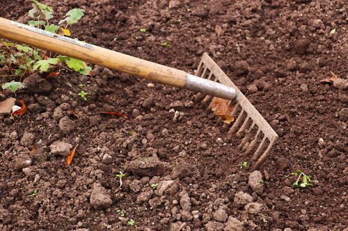 Hacks to Make Your Soil Acidic 2