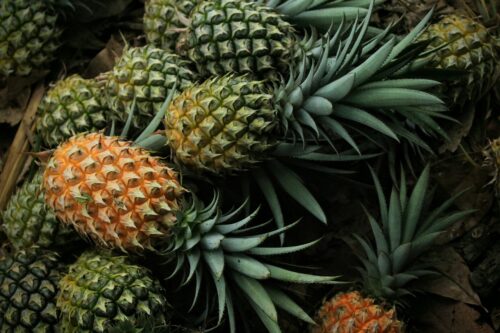 Ways to Regrow Pineapple