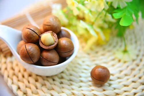 Nuts You Can Grow in Pots 3