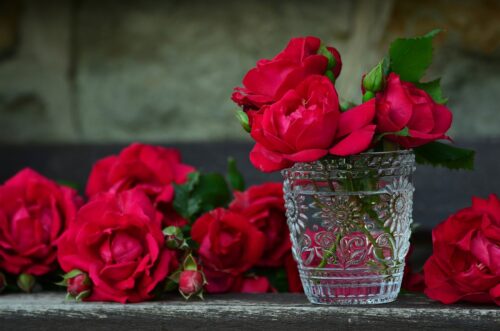 How to Keep Mini Roses from the Grocery Store Alive