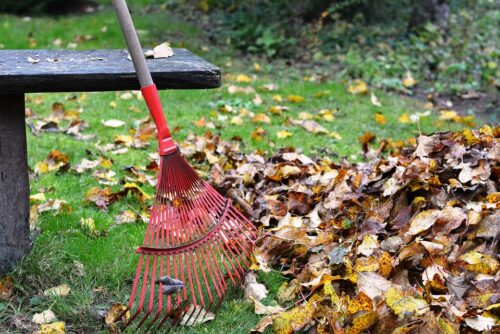 Do's and Don'ts of Fall Garden Maintenance