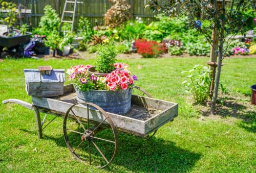 Gardening Checklist for New Year